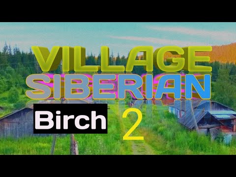 Видео: п. Березовая / Балахтинский район / ЗАБРОШЕННАЯ МЕСТНОСТЬ В КОТОРОЙ ОСТАЛОСЬ 5 человек! Часть 2