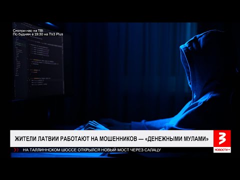 Видео: Подростков вовлекают в преступные схемы. «Новости+», 12 ноября 2025 г.