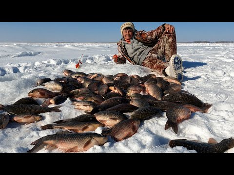 Видео: Как Мы КАРАСЕЙ-Кабанов НАШЛИ на огромном озере!!!