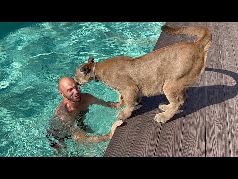 Видео: Месси в стрессе! Реакция Месси когда Саша нырнул в бассейн!