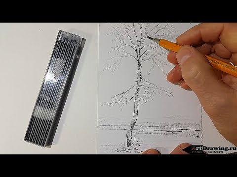 Видео: как нарисовать дерево зимой, скетч карандашом
