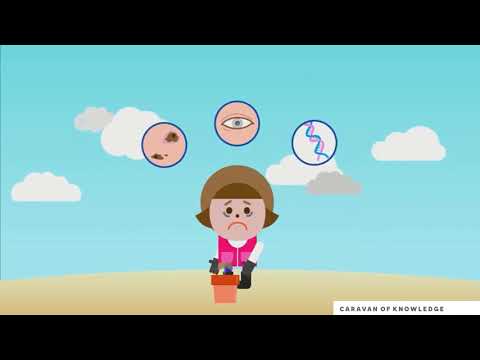 Видео: Ауа температурасының өсімдіктерге әсері сабақ steam