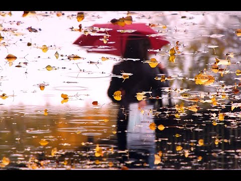 Видео: Сред ежедневните, банални грижи...