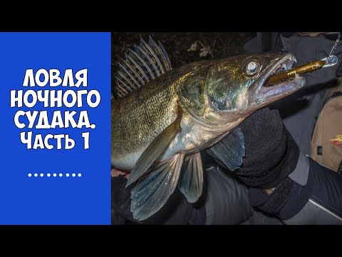 Видео: Ловля ночного судака на воблеры. Часть 1
