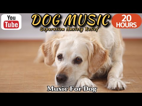 Видео: 20 часов любимой музыки собак🐶💖Музыка для сна собак 🐶🎵 Музыка для снятия беспокойства при разлуке🎵