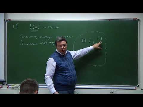Видео: Р.В. Шамин. Лекция № 3 Метод роения частиц и коллективные методы оптимизации