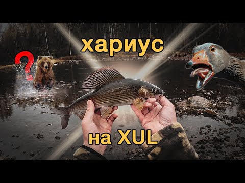 Видео: ХАРИУС на перекатах. Рыбалка на ультралайт. Северные реки.