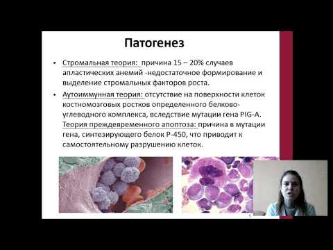 Видео: 5   «Гипо  и апластические анемии»
