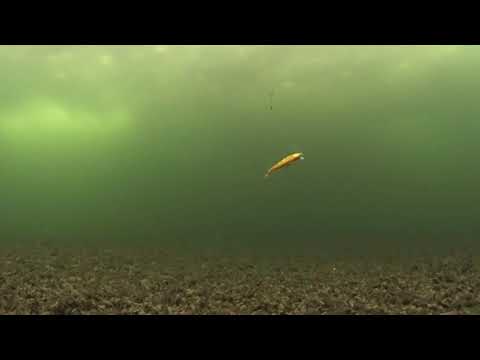 Видео: ХОРОШАЯ ЗАМЕНА - БАЛАНСИРАМ и ВИБАМ  ! РЕАЛЬНЫЕ ПОДВОДНЫЕ  СЪЁМКИ !!!!