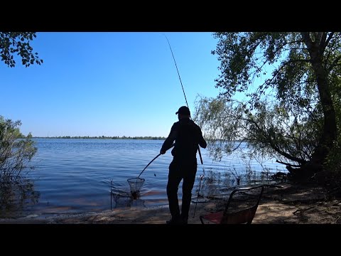 Видео: Ловля Ляща на Дніпрі в Києві. Лящі клюють!!!Рибалка на Ляща! Фідерна рибалка в Києві. Рибалка 2024.