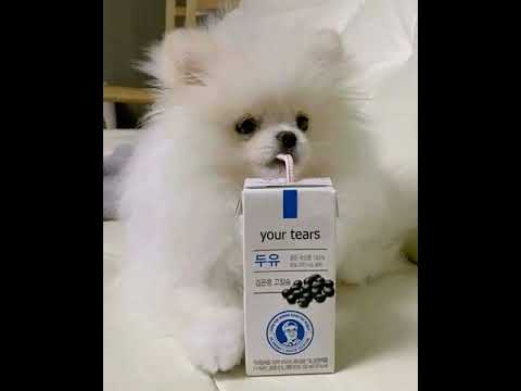 Видео: АЛЁНА ШВЕЦ - ДВЕ ДЕВОЧКИ [NIGHTCORE / SPEED UP]