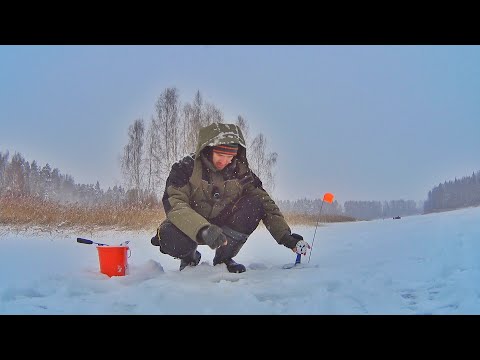 Видео: ПЕРВЫЙ ЛЁД 2024-2025. ОТКРЫТИЕ РЫБОЛОВНОГО СЕЗОНА РЫБАЛКИ СО ЛЬДА.