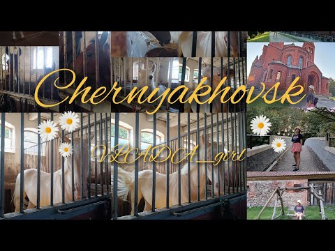 Видео: Черняховск или Инстербург#vlog #путешествия #георгенбург#конезавод #лошади#замки#vlada girl