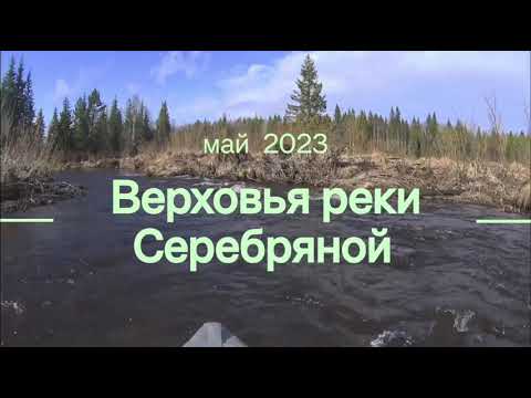 Видео: Ч.1 Верховья реки Серебряной.