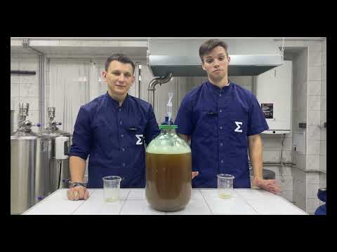 Видео: Как сделать сидр дома? Рассказываем, показываем!