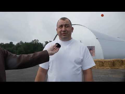 Видео: Аукционы продажи лошадей. Реконструкция Ц.М.И.