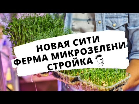 Видео: Стройка ! Новая Сити ферма Микрозелени