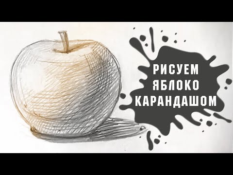 Видео: Урок - Рисуем Яблоко Простым Карандашом За 18 Минут!