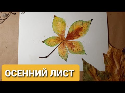 Видео: Как нарисовать осенний лист каштана. Акварель для новичков