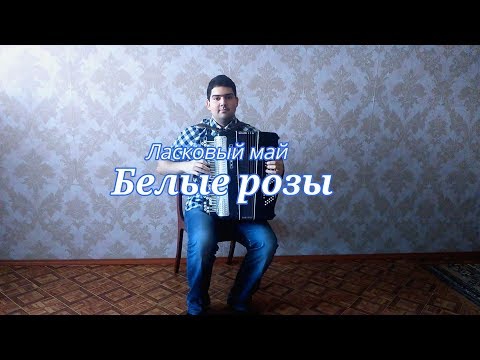 Видео: Ласковый май - "Белые розы" на баяне