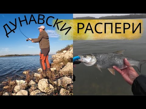 Видео: ДУНАВСКИ РАСПЕРИ ЧАСТ 1