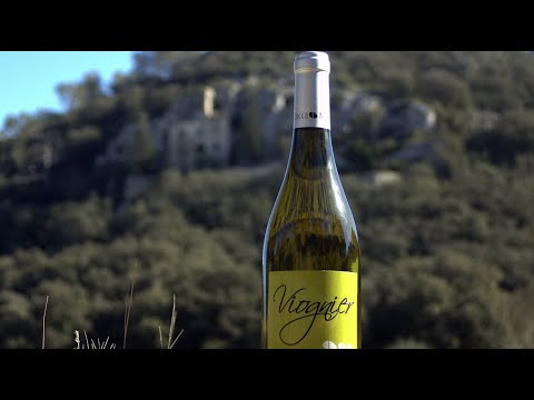 Видео: Вионье кусочек лета в бокале Viognier