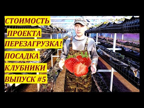 Видео: Обзор стоимости💲 проекта ТЕПЛИЦА-ТЕРМОС: "ПЕРЕЗАГРУЗКА"//Посадка клубники🍓// Выпуск #5