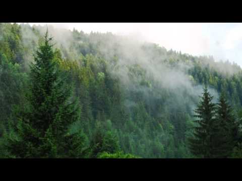 Видео: Вълкана Стоянова-Горо льо...