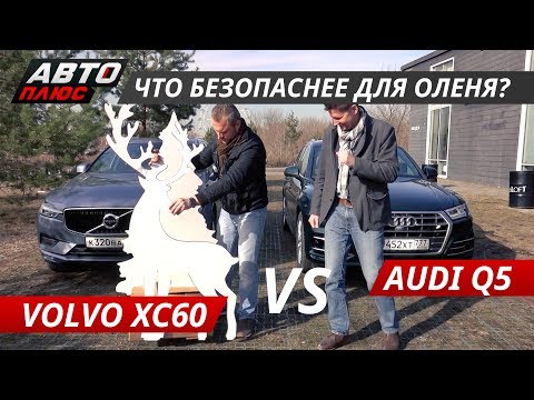 Видео: Лучший автомобиль 2018 года? Volvo XC60 VS Audi Q5 | Выбор есть!