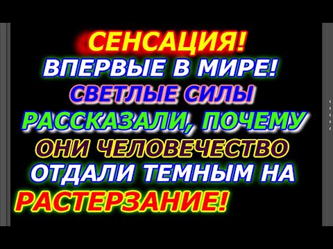 Видео: Сенсация! Светлые силы рассказали  воинам, почему Человечество они отдали темным  на растерзание