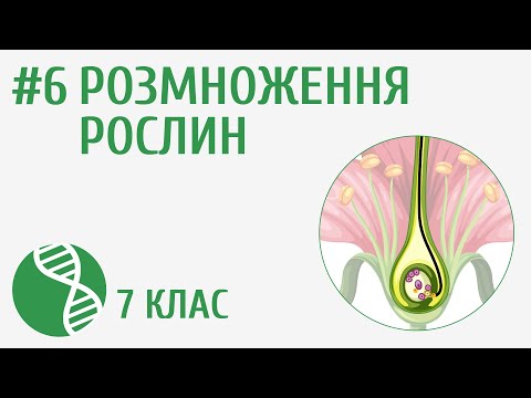 Видео: Розмноження рослин #6