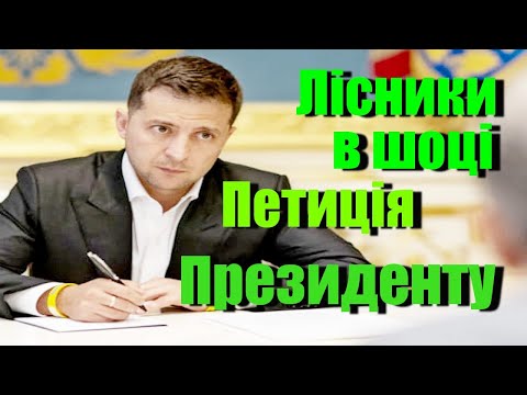 Видео: Узаконивание уборки в лесу дров. Первые результаты голосования.