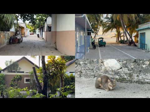 Видео: Малдиви част 3 | местен остров| традиции| култура| живота тук