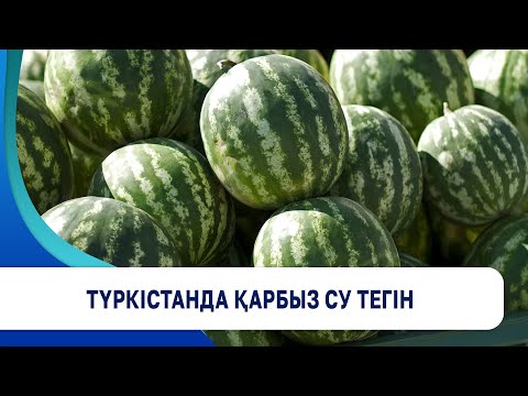 Видео: Түркістанда қарбыз су тегін