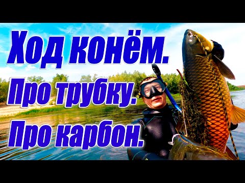 Видео: Подводная охота без криминала.  В шесть раз больше. Белый амур. Ход конём. Про трубку. Про карбон.
