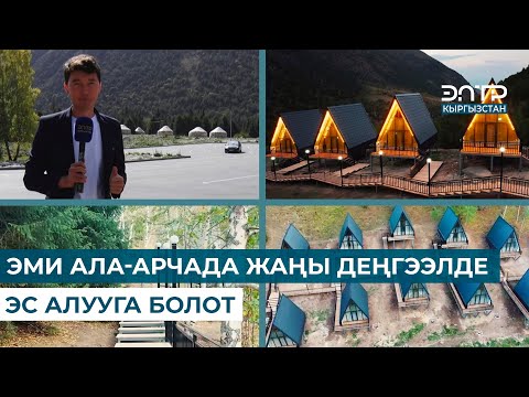 Видео: ЭМИ АЛА-АРЧАДА ЖАҢЫ ДЕҢГЭЭЛДЕ ЭС АЛУУГА БОЛОТ