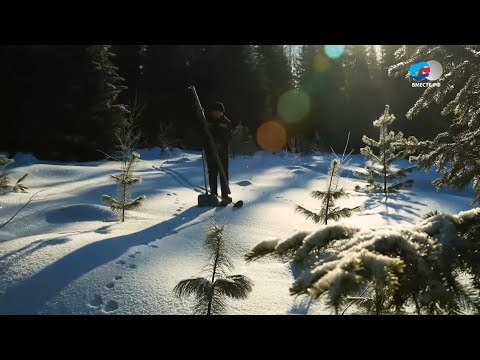 Видео: Программа "Заповедники РФ" в Печоро-Илычском заповеднике (телеканал "ВМЕСТЕ-РФ", 2019 г.)