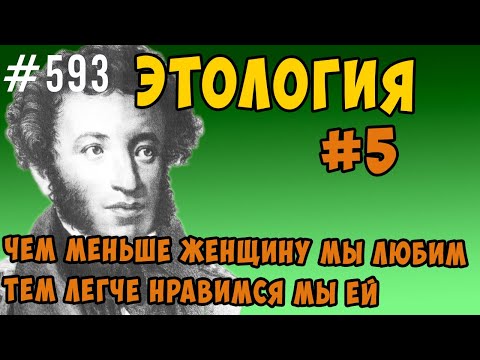 Видео: мужчина и женщина - почему так ?