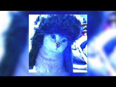 Видео: майами - австралия (пятый континент) speed up ᝰ