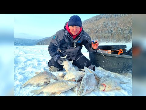 Видео: ЗВЕНИТ ЛЕСКА, КОЛЕЮТ РУКИ, А Я ТАСКАЮ ЛЕЩА!!!