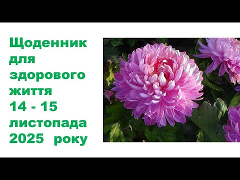 Видео: Щоденник важливих справ на городі, в садочку, на квітнику , для здоров'я 14-15 листопада 2025 року