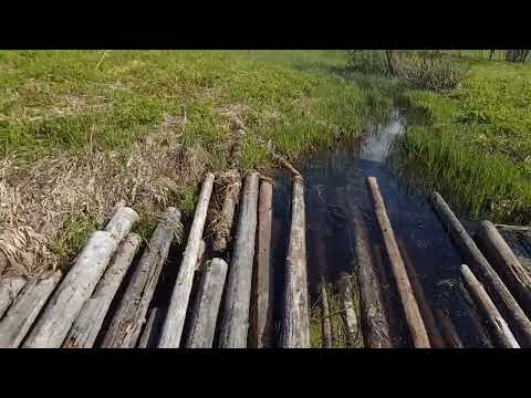 Видео: Cordiant offroad 2 - проверка бездорожьем.