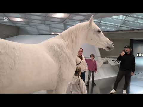 Видео: 🇩🇪 Mercedes - Benz Museum, Stuttgart , Deutschland. Музей Мерседес - Бенц ,  Штуттгарт.