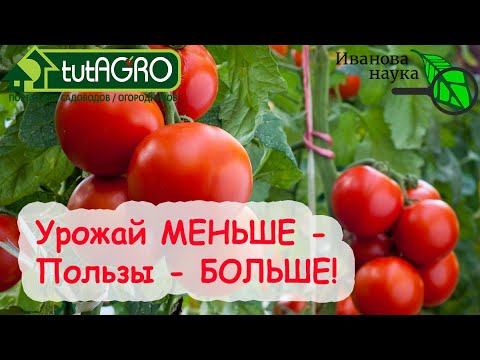 Видео: Не КОРМИТЕ КАК НА УБОЙ!!!! Не перекармливайте ОВОЩИ и ВОТ ПОЧЕМУ! Меньше - да лучше!
