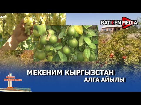 Видео: АЛГА АЙЫЛЫ