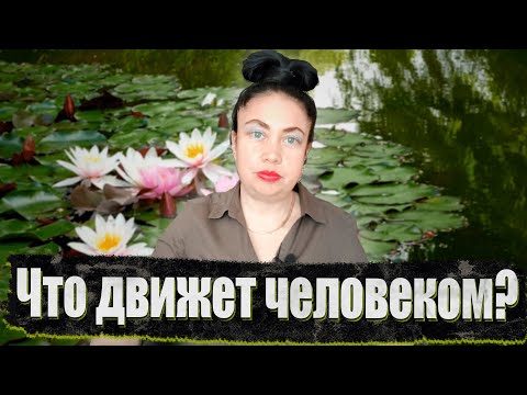 Видео: Что движет человеком?