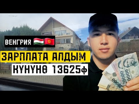 Видео: ВЕНГРИЯ БОЮНЧА МААЛЫМАТ.ЭМНЕЛЕРДИ АЛЫП КЕЛИШ КЕРЕК? ЖУМУШ🇭🇺🇰🇬🇪🇺