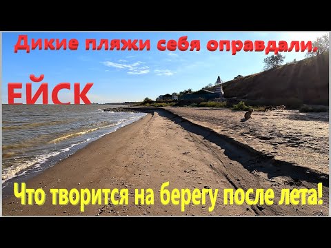Видео: Что творится на берегах после лета. Дикие пляжи себя оправдали. Ейск.  Таганрогский залив.