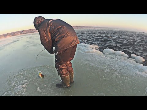 Видео: ТАКОЕ зимой лучше НЕ ПОВТОРЯТЬ! Судаки жрут вибы на подводную камеру