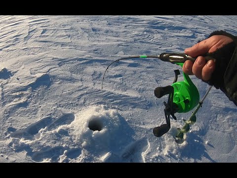 Видео: Судак Камского Устья. Открытие сезона 2022. Ловля на ратлины и блесны